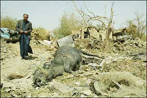 March 29th. A farm in al-Janabiin after a U.S. 'precision' strike.